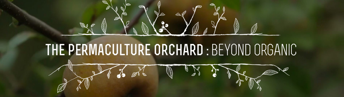 The Permaculture Orchard