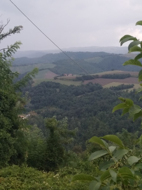 Panorama dal campo