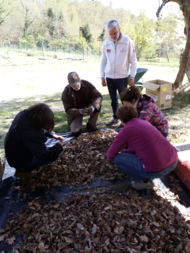 Agricoltura rigenerativa