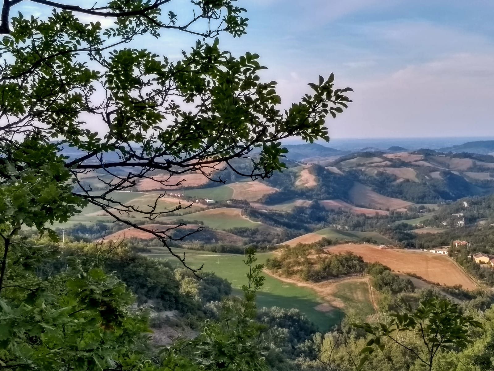 Bosco e campagna