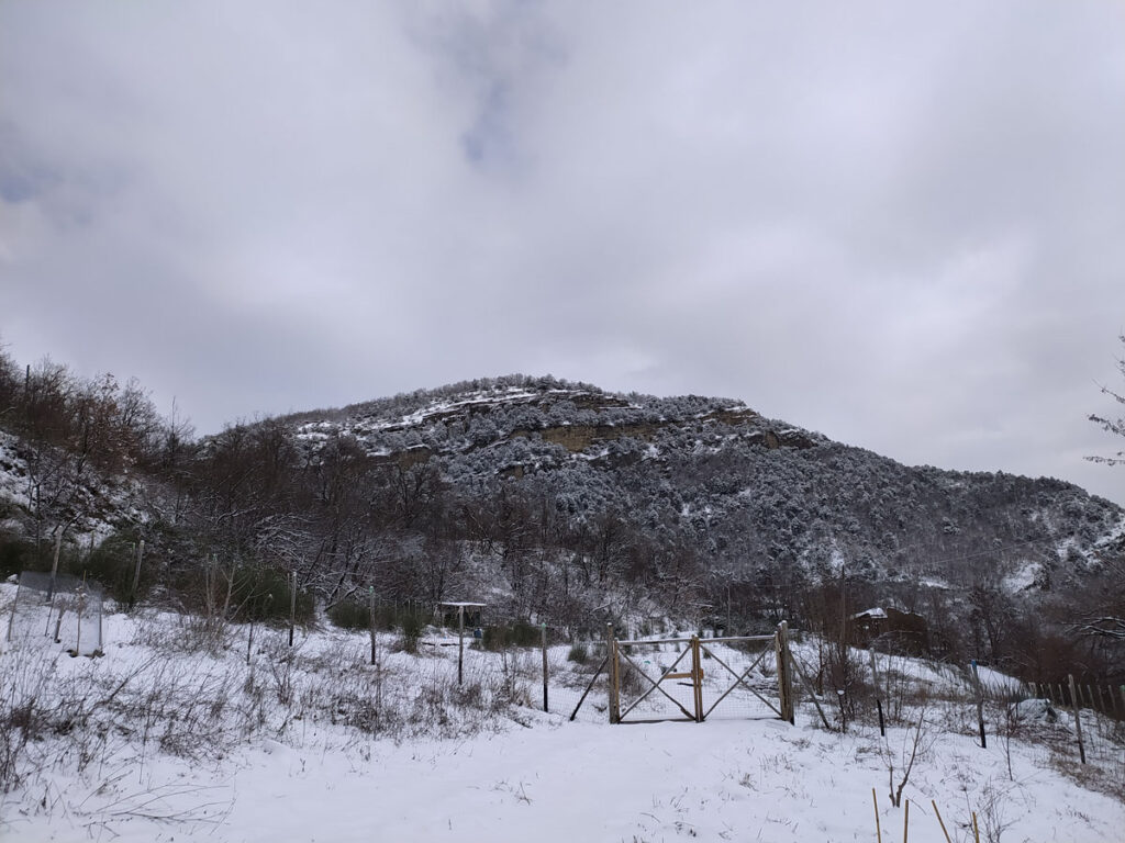 pardesa sotto la neve