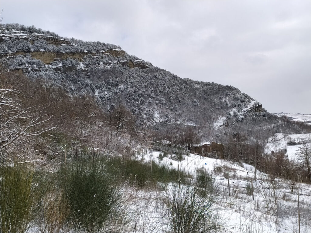 pardesa sotto la neve