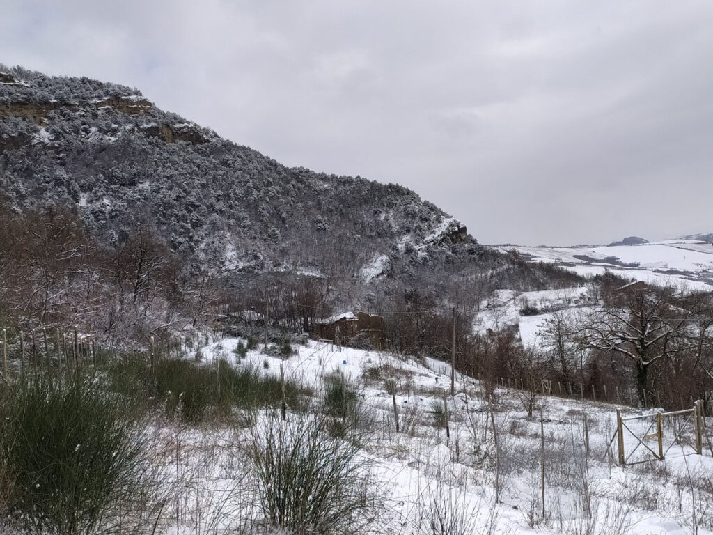 pardesa sotto la neve