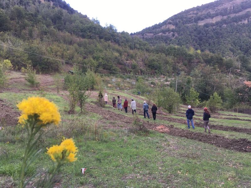 Camminata nella natura