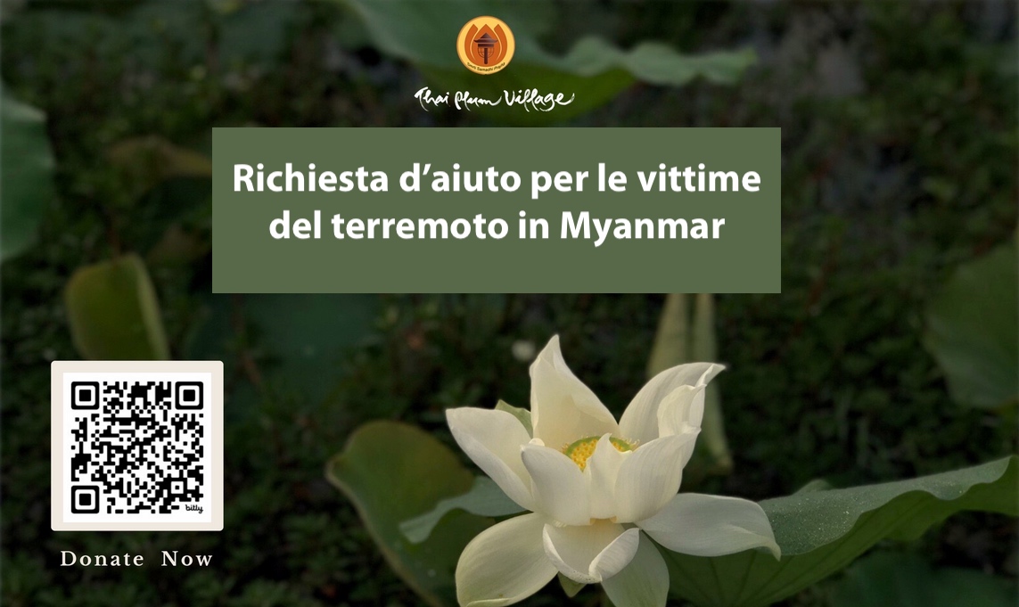 Richiesta d'aiuto per le vittime del terremoto in Myanmar